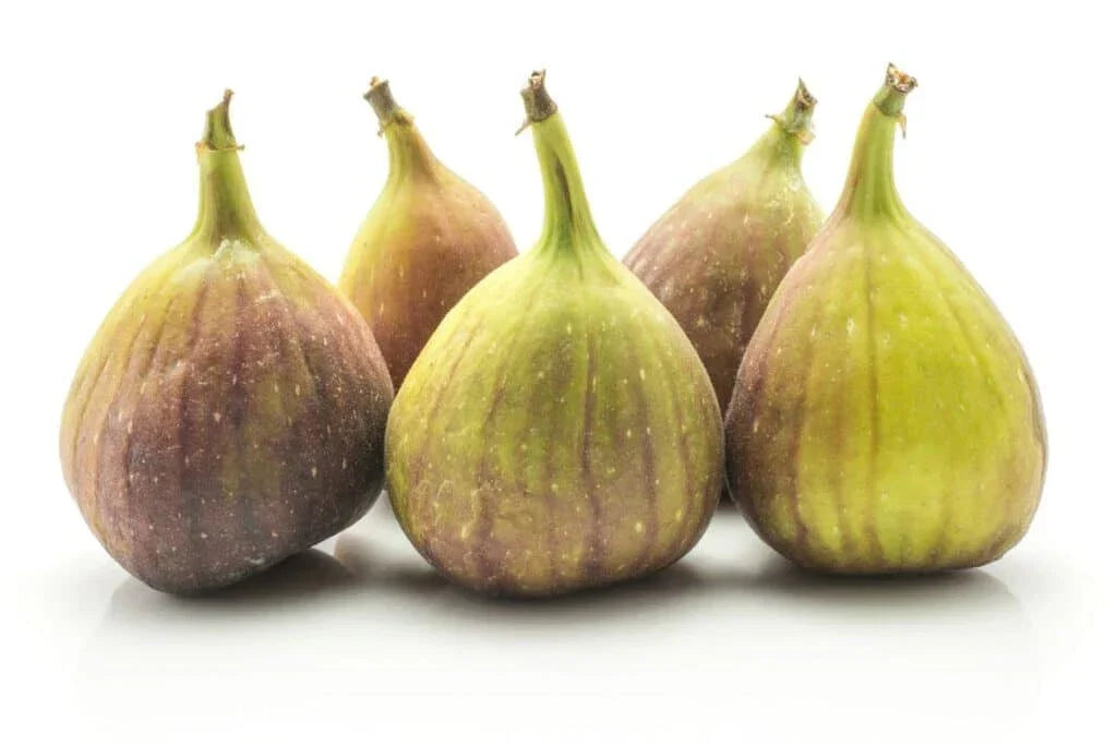 Kadota Fig Seeds - 100+ Count White Variety Ficus carica for Garden Planting, Homegrown Figs