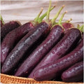 Long Purple Eggplant Seeds - 30 Premium Japanese Solanum melongena Vegetable Seeds for Home Garden