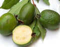 Pineapple Guava Seeds - 30 Pack, Tropical Fruit, Acca sellowiana, Compact Shrub for Garden Planting
