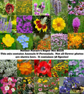 Wildflower Seed Mix - 1000 Non-GMO Seeds - 38 Species Variety for Pollinator Gardens and Meadow Landscaping