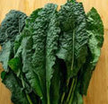 Lacinato Kale Seeds - Heirloom Dinosaur Kale Pack of 200+ - Italian Brassica oleracea var. sabellica for Organic Gardening
