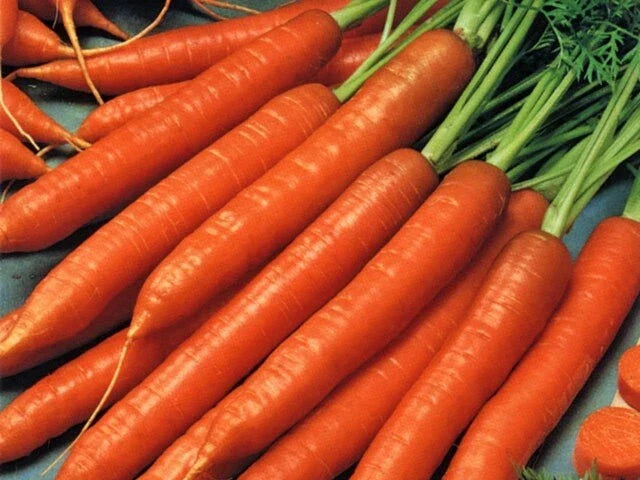 Scarlet Nantes Carrot Seeds - 20,000 Non-GMO Heirloom Daucus carota, Sweet & Crispy, Full Sun, Easy to Grow, Vegetable Seeds
