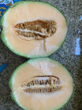 Cantaloupe Melon Seeds - 25 Pack, Sweet Juicy Variety, Easy to Grow, Cucumis melo, Home Garden, Non-GMO