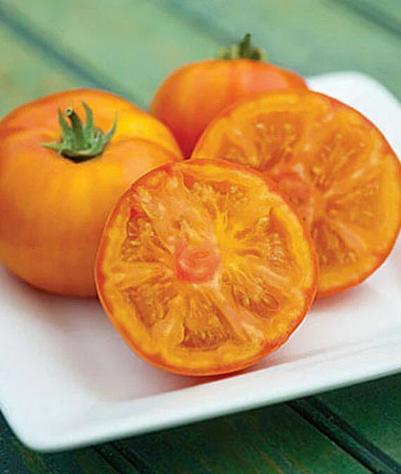 Orange Beefsteak Tomato Seeds – Non-GMO Heirloom Solanum lycopersicum, Large Juicy Fruits, Perfect for Salads & Sandwiches