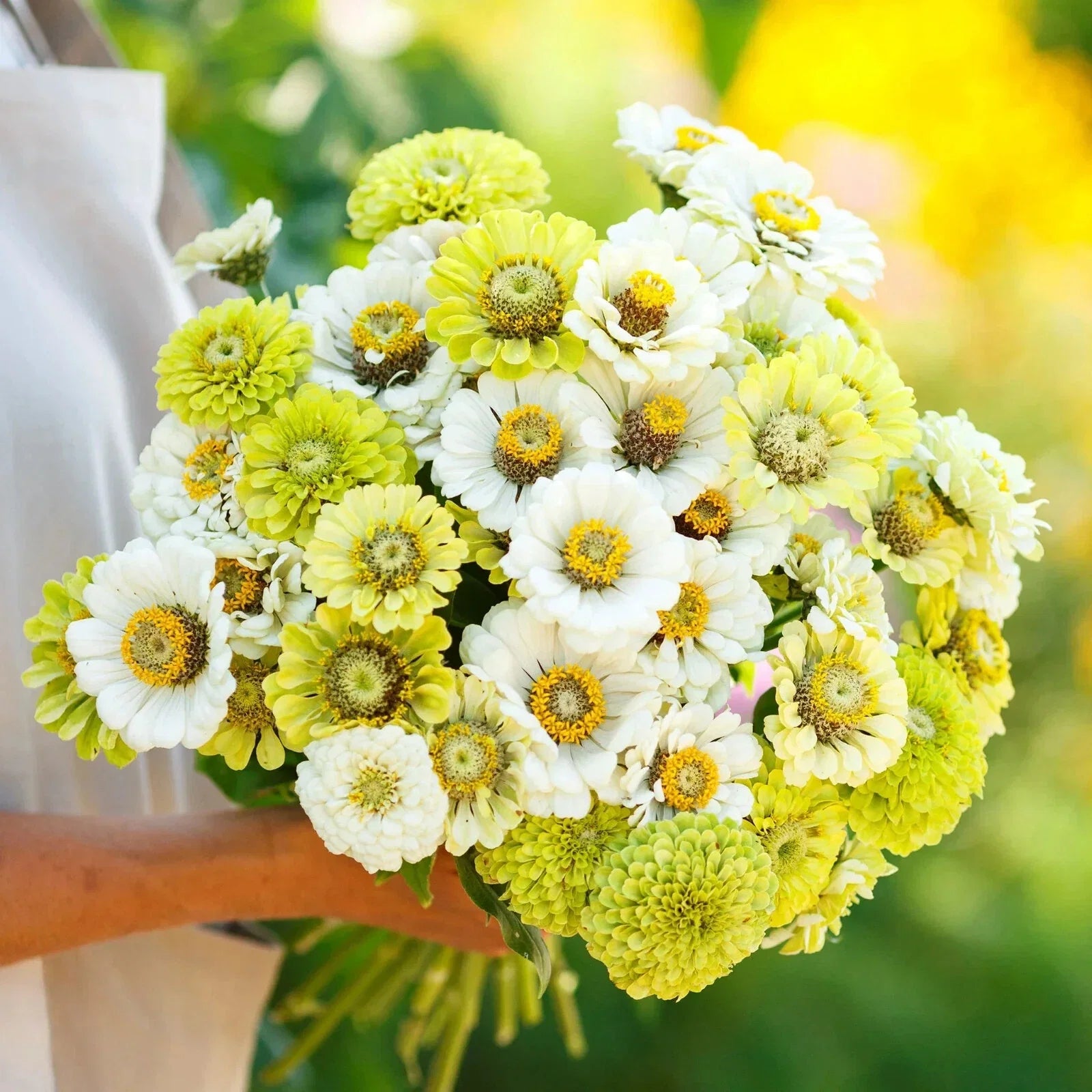 Zinnia Seeds - 100+ Mixed Varieties for Garden Planting - Easy to Grow Annual Flowers - Zinnia elegans