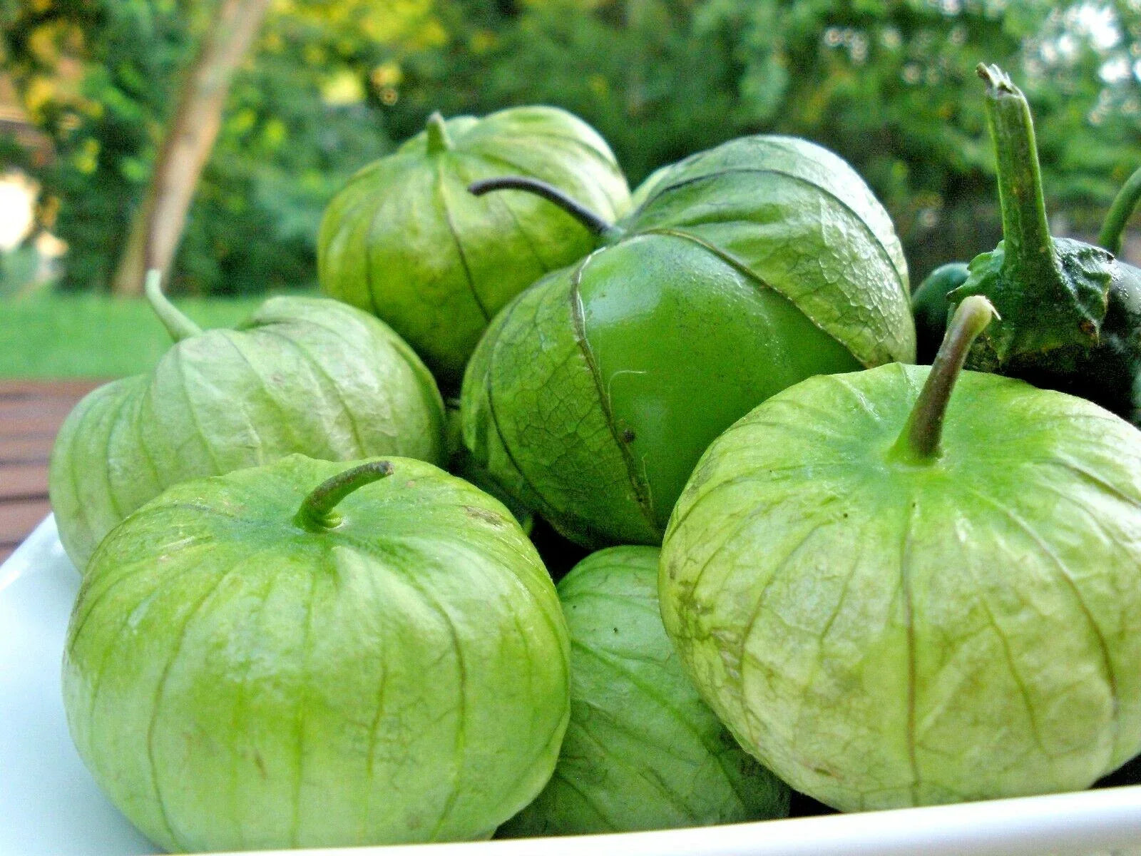 Organic Tomatillo Seeds - Gigante Variety for Container Gardening, Summer Vegetable, Physalis ixocarpa, Bountiful Harvest