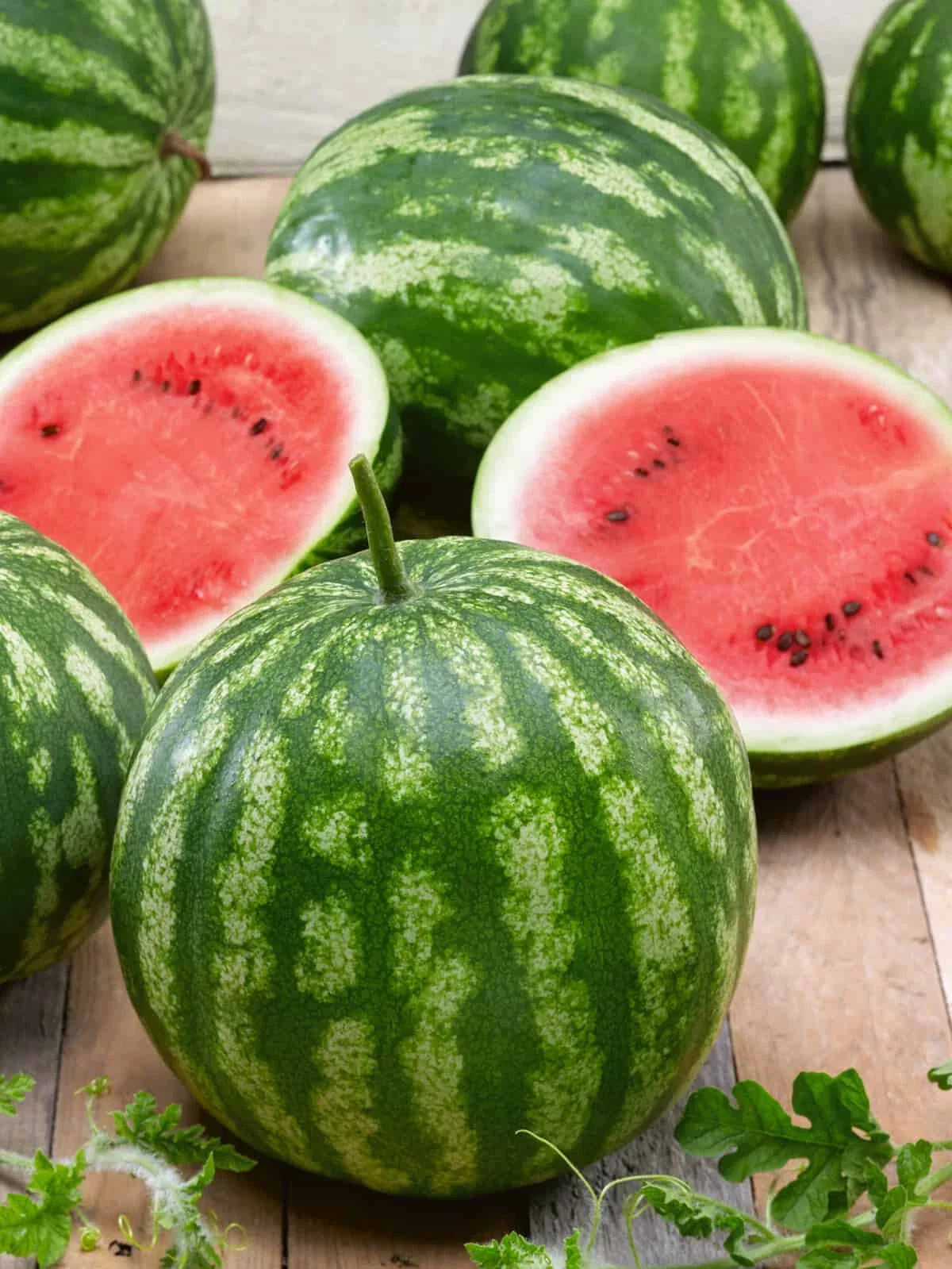 Cal Sweet Bush Watermelon Seeds – Compact Citrullus lanatus for Home Garden, 50+ Pack, Non-GMO, USA Grown