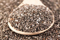 Organic Chia Seeds 16 oz Salvia hispanica Superfood for Smoothies Baking & Toppings