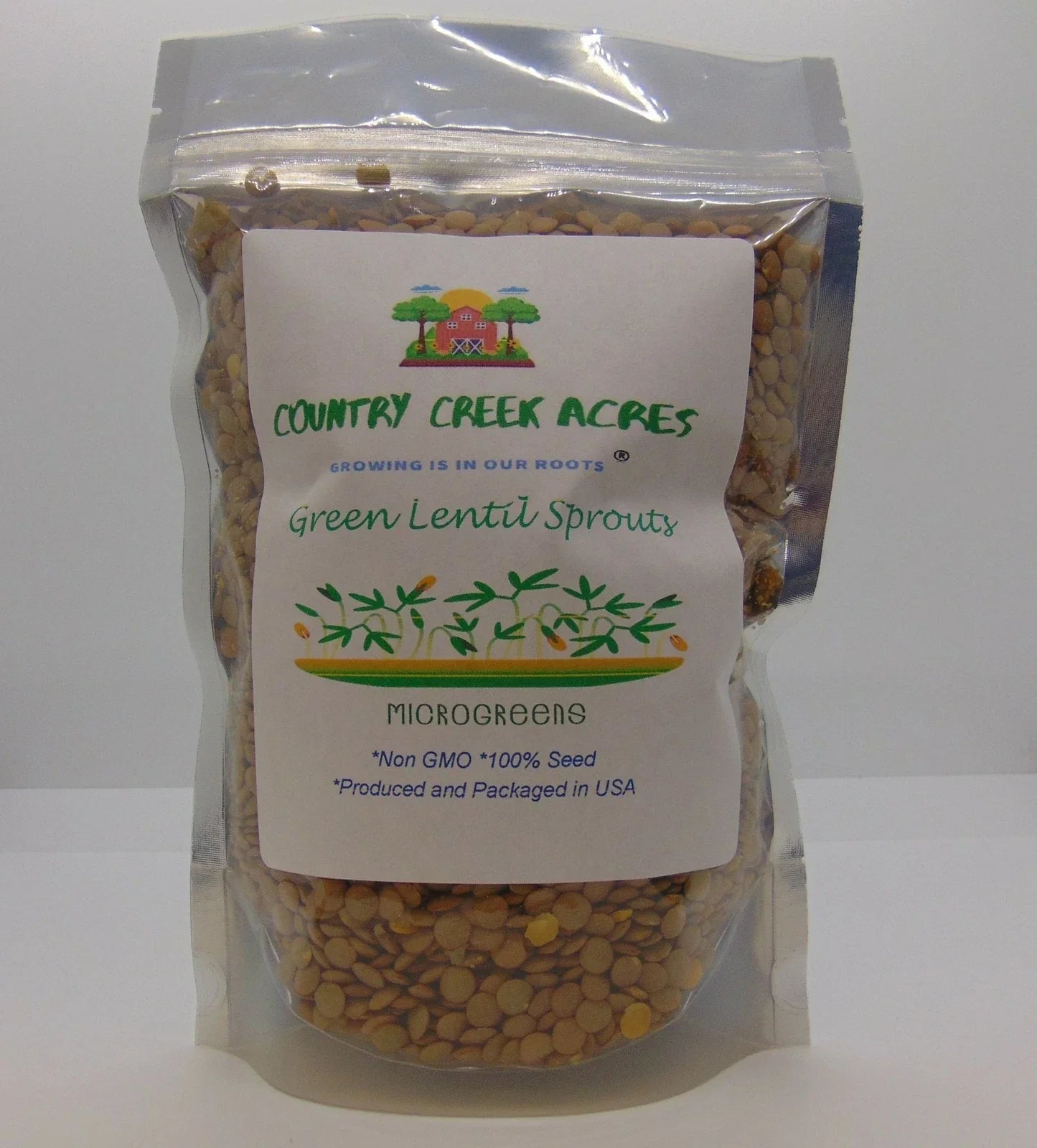 Green Lentils Seeds 2 oz, Non-GMO, Protein & Fiber Rich, Lens culinaris, for Sprouting & Gardening