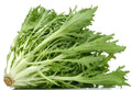 Green Curled Endive Seeds | Non-GMO Cichorium endivia for Salad & Garden | Pack of 200 Seeds