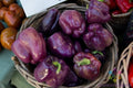 Merlot F1 Sweet Pepper Seeds – Non-GMO Vegetable Seeds for Garden Planting – Capsicum annuum, 25+ Seeds Pack