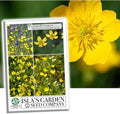 Western Buttercup Seeds - 1000+ Wildflower Seeds Ranunculus occidentalis for Meadow, Border & Naturalized Gardens