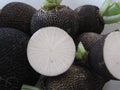 Black Spanish Radish Seeds - Heirloom Raphanus sativus for Salad, Pickling, Container Gardening