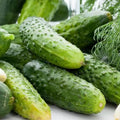 Boston Pickling Cucumber Seeds – 75 Non-GMO Cucumis sativus for Pickling, Vining, Home Garden, USA Seller