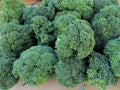 Calabrese Broccoli Seeds 250+ Heirloom Organic Non-GMO Brassica oleracea Green Sprouting Variety
