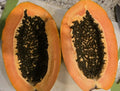 Red Heart Creamy Papaya Seeds - 50 Fresh Carica papaya Tropical Fruit Seeds for Home Garden & Container Gardening