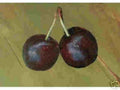 Hansen's Bush Cherry Seedling Live Plant – Hardy Fruit Shrub – Prunus japonica – Edible Cherry Bush for Garden or Container