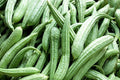 Sponge Gourd Seeds - 25+ Pack - Luffa cylindrica Heirloom Vegetable for Garden Planting
