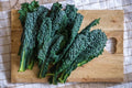 Black Magic Kale Seeds - Heirloom Dark Green Brassica oleracea var. sabellica, 200 Seeds for Gardening