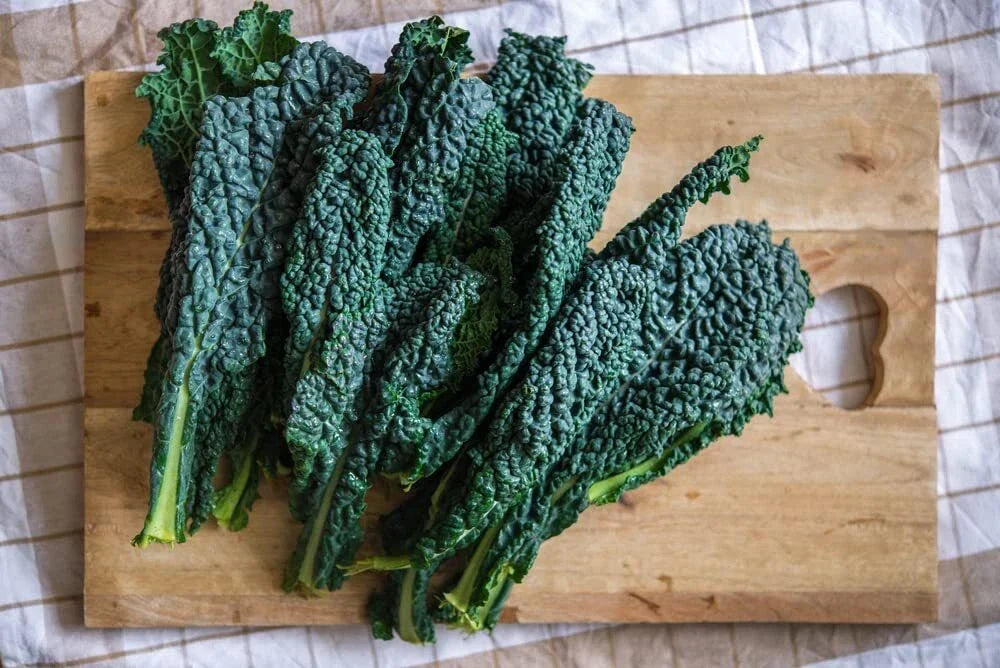 Black Magic Kale Seeds - Heirloom Dark Green Brassica oleracea var. sabellica, 200 Seeds for Gardening