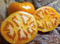 Golden Jubilee Tomato Seeds - Organic Heirloom Non-GMO Solanum lycopersicum, 120+ Seeds