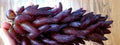 Grape Vine Cuttings - Witch Fingers Variety - 2 Healthy Vines - Vitis vinifera