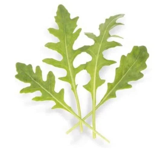 Arugula Seeds for Planting - Athena Variety - Eruca sativa - 200 Count, Fast-Growing, Peppery Leafy Green, Cool-Season Crop