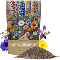Bulk Wildflower Seeds 1/4 Pound Partial Shade Mix - 30,000 Annual & Perennial Seeds