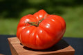 German Johnson Tomato Seeds - Organic Heirloom Non-GMO Solanum lycopersicum, 120+ Seeds for Home Gardening