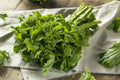 Broccoli Raab Seeds - Organic Heirloom Non-GMO - Brassica rapa var. ruvo - Grow Your Own Rapini in Garden or Containers