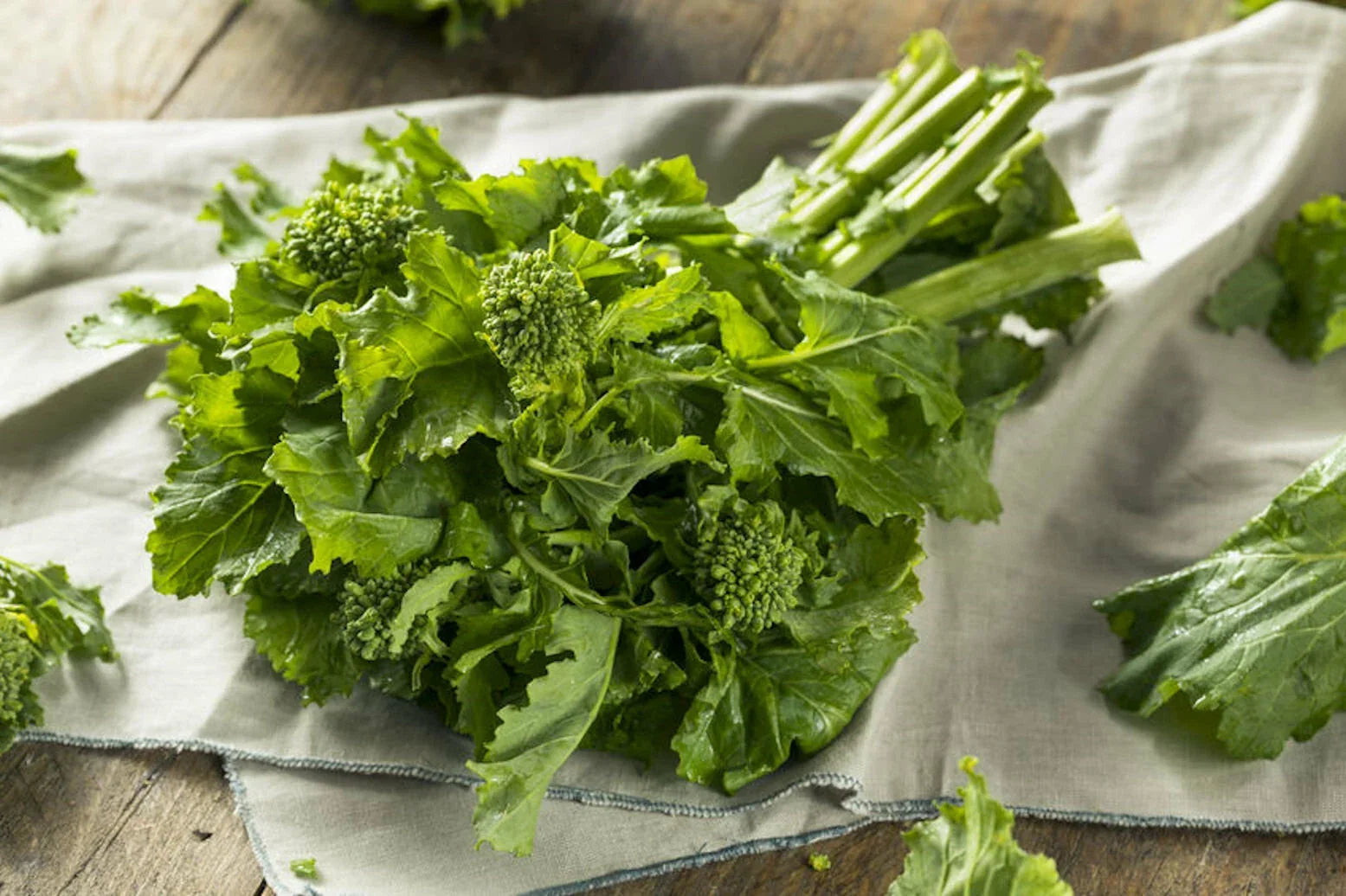 Broccoli Raab Seeds - Organic Heirloom Non-GMO - Brassica rapa var. ruvo - Grow Your Own Rapini in Garden or Containers