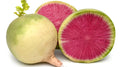 Misato Rose Radish Seeds - 500+ Pack, Raphanus sativus, Heirloom, Pink and White Skin, Fast-Growing, Non-GMO, USA Grown