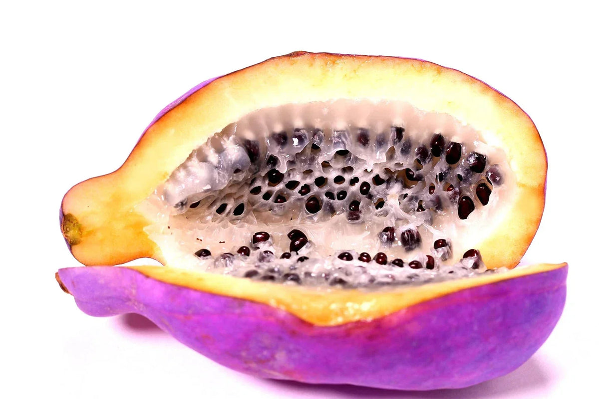 Exotic Chocolate Vine Seeds - 15 Pack - Akebia quinata, Five Leaf Climbing Vine for Garden, Trellis, Fences