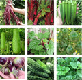 Asian Vegetable Seeds Packets – Non-GMO Heirloom Varieties for Gardening, 10 Packets, Full Sun, USA Seller