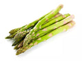 Mary Washington Asparagus Seeds - Organic Heirloom Non-GMO Vegetable Seeds for Home Garden, Asparagus officinalis