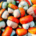 Mini Red Turban Ornamental Gourd Seeds - Cucurbita maxima for Decorative Gardens & Crafts