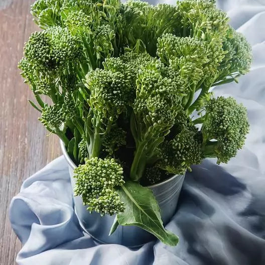 Broccoli Seeds 2000 Count Waltham 29 Non-GMO Heirloom Brassica oleracea
