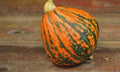 Lakota Winter Squash Seeds - Organic Heirloom Cucurbita pepo, Nutty Flavor, Winter Squash Seeds for Gardening & Cooking