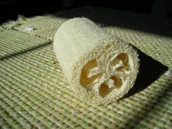 Luffa Sponge Gourd Seeds - 7 Packets for Natural Sponges - Eco-Friendly Gardening - Luffa aegyptiaca