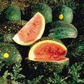 Red Moon and Stars Watermelon Seeds – Heirloom, Non-GMO, Very Sweet Citrullus lanatus, Vining Seeds for Home Garden