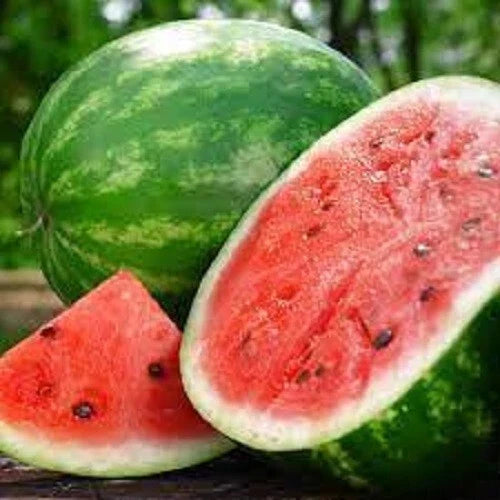 Premium Crimson Sweet Watermelon Seeds - Citrullus lanatus, Juicy, Sweet, Vining, 20 Seeds for Home Garden Planting
