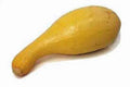 Golden Crookneck Squash Seeds - Heirloom Non-GMO Vegetable Seeds, Cucurbita pepo, 500 Pack