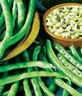 California Black Eye Pea Seeds – Heirloom Non-GMO Edible Legume, Vigna unguiculata, 100 Pack