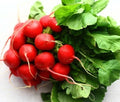 German Giant Radish Seeds – Open Pollinated Non-GMO Raphanus sativus for Home Gardens, Large Crunchy Radishes, 250+ Seeds