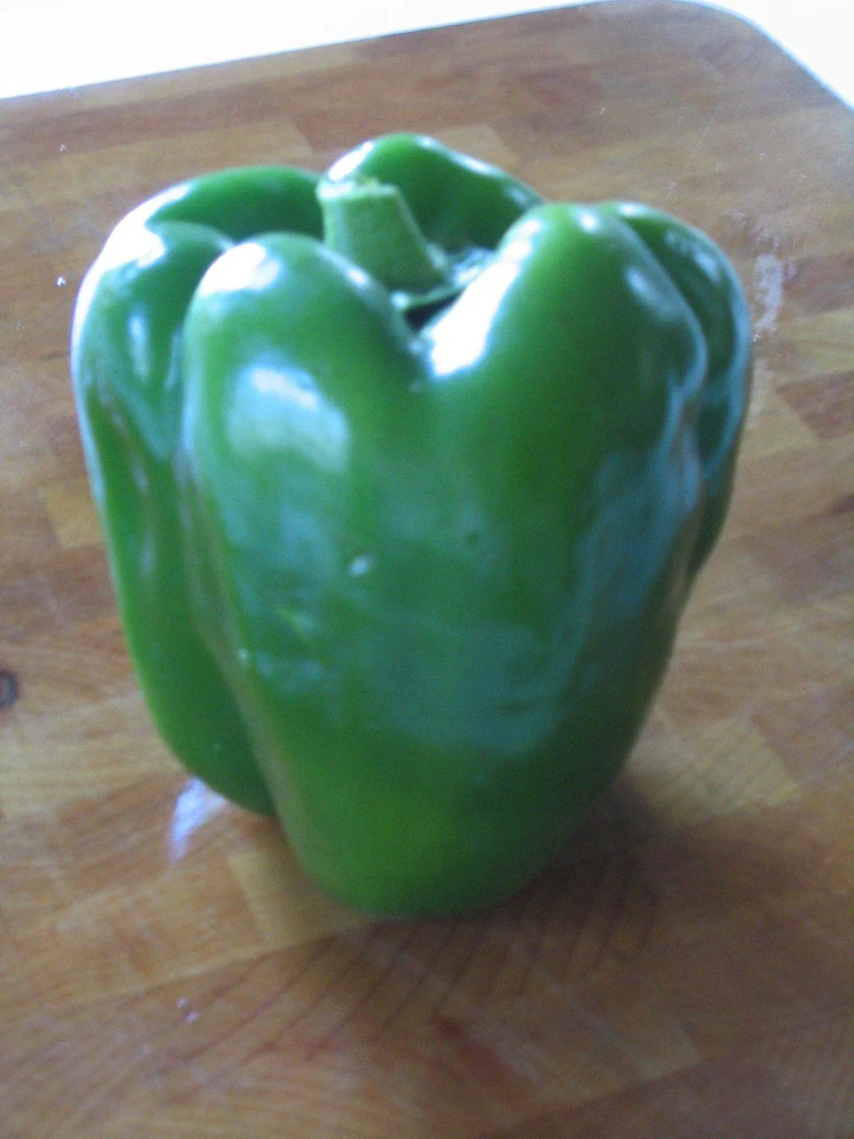 Sweet Pepper Seeds – YOLO Wonder Capsicum annuum, Glossy, Chef’s Favorite, 20 Seeds for Home Garden, Container & Raised Bed