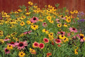 Wildflower Mix Seeds for Partial Shade, Native Pollinator-Friendly Bloom Blend, Eco-Friendly Garden Seed Packet