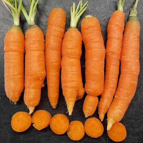 Mokum Carrot Seeds Pack - Daucus carota Non-GMO Organic Garden Seeds for Home Growing