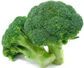 Broccoli Seeds 100+ Heirloom Organic Non-GMO Waltham 29 for Home Gardening and Sustainable Farming