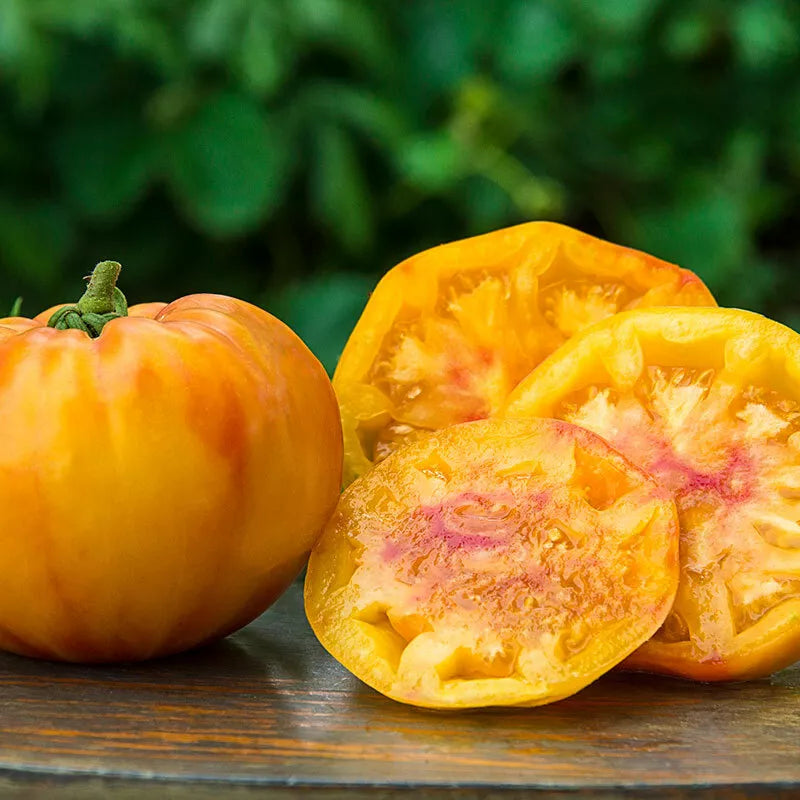 Gold Medal Tomato Seeds - Ruby Gold Beefsteak Slicing Variety, Non-GMO Solanum lycopersicum