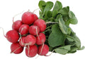 385 Seeds Early Scarlet Globe Radish Raphanus sativus Bulk Seeds for Home Garden, Fast-Growing, Compact, Edible Roots